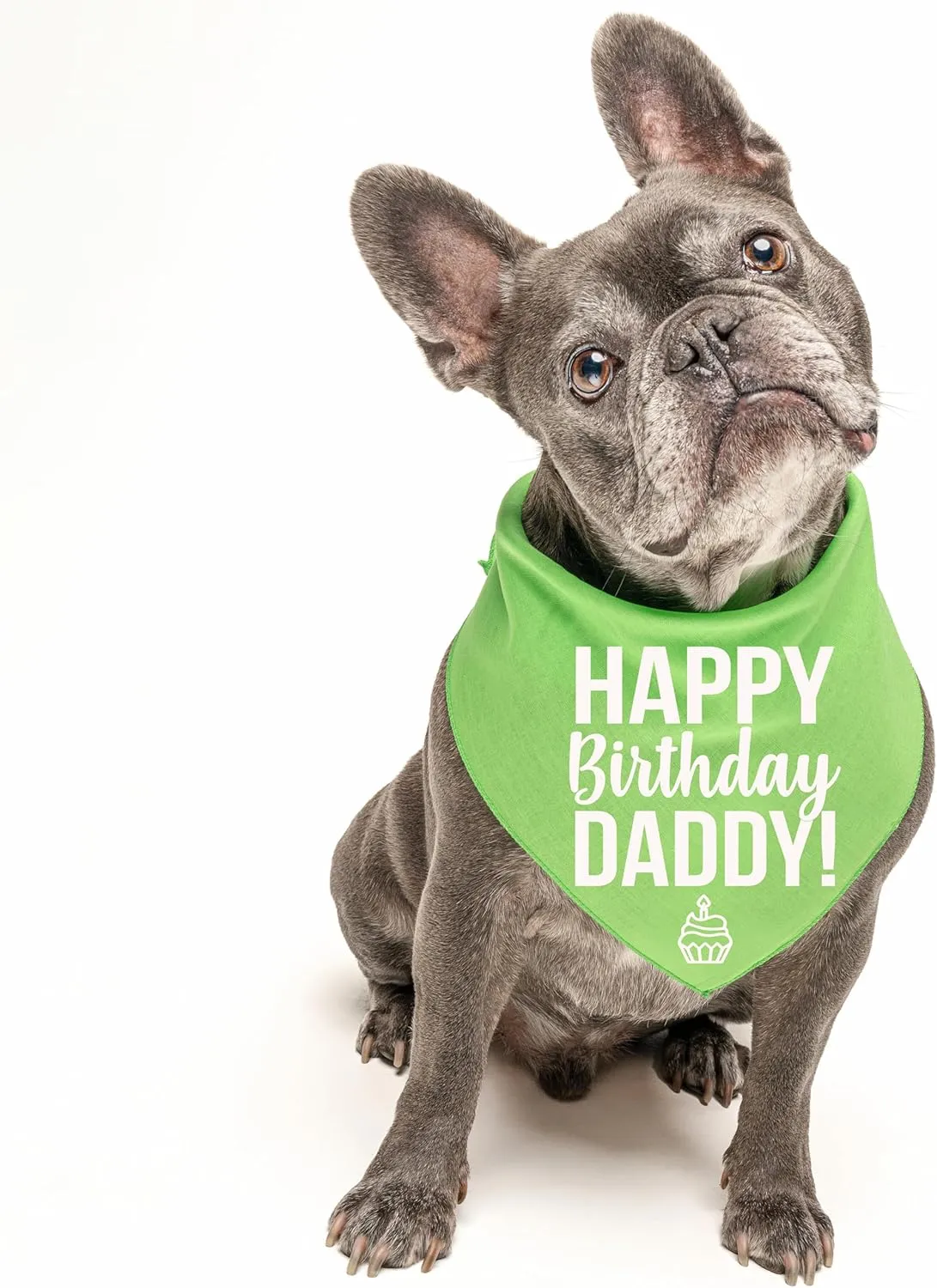 Happy Birthday Daddy! Dog Bandana | 100% Cotton Adjustable Triangle | Made in USA | Birthday Pawty | Party Theme | Celebration Photo Shoot Prop | Mom Dad | Purple, One Size (170)