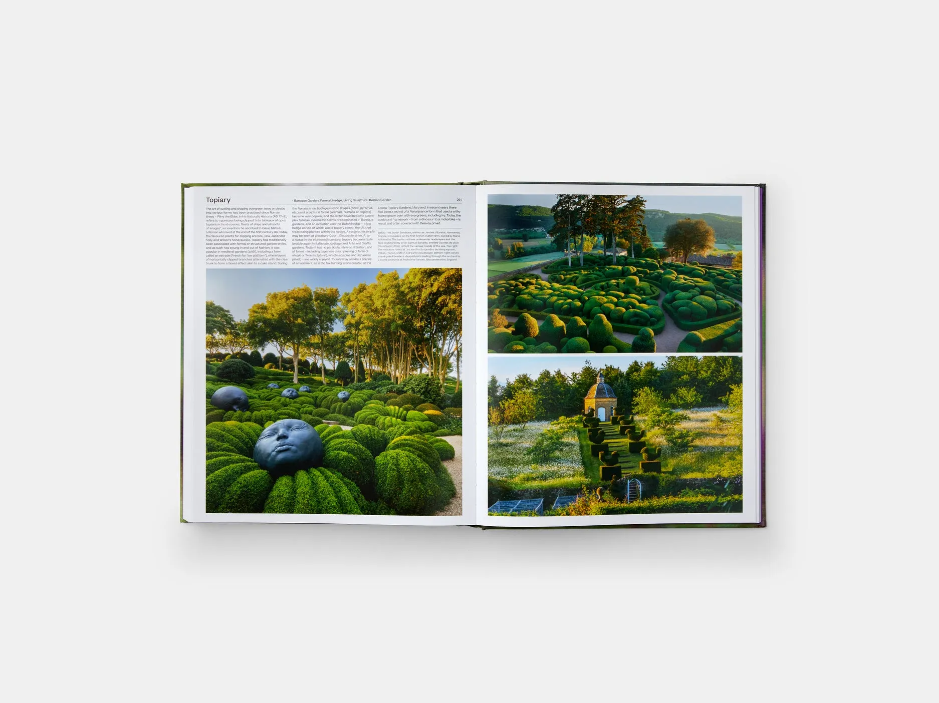 The Garden : Elements and Styles
